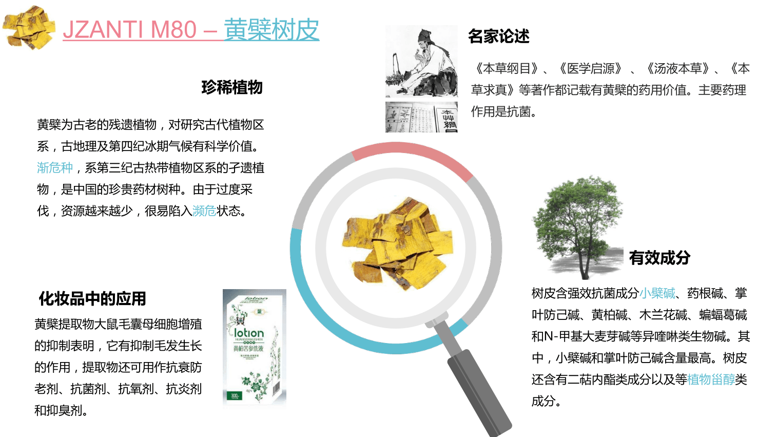 卓伟化妆品